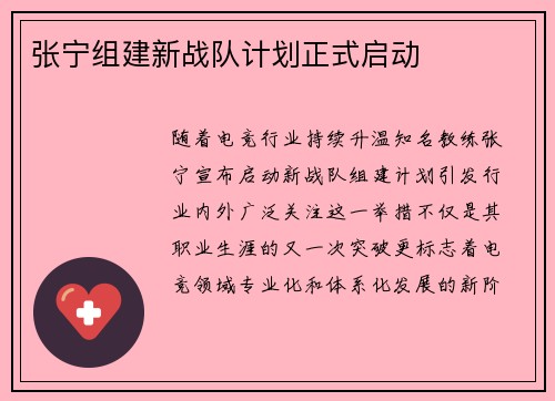 张宁组建新战队计划正式启动
