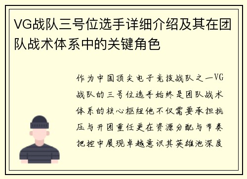 VG战队三号位选手详细介绍及其在团队战术体系中的关键角色